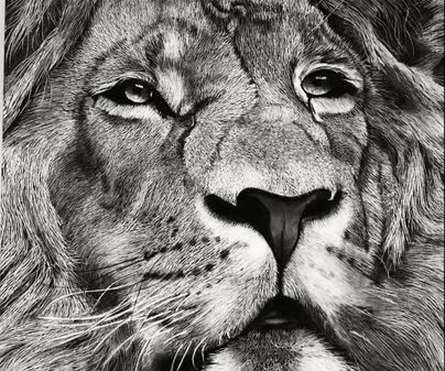 00434, Sharon Gekonge, 20, Nairobi - Lion’s gaze, charcoal